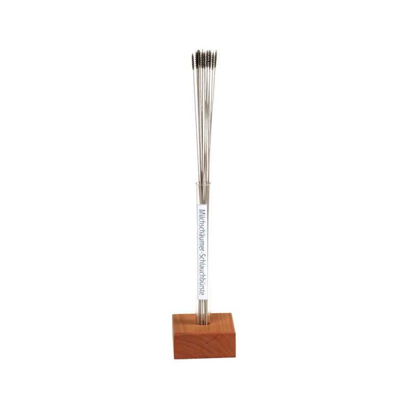 Steam wand brush